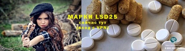 меф Кропоткин
